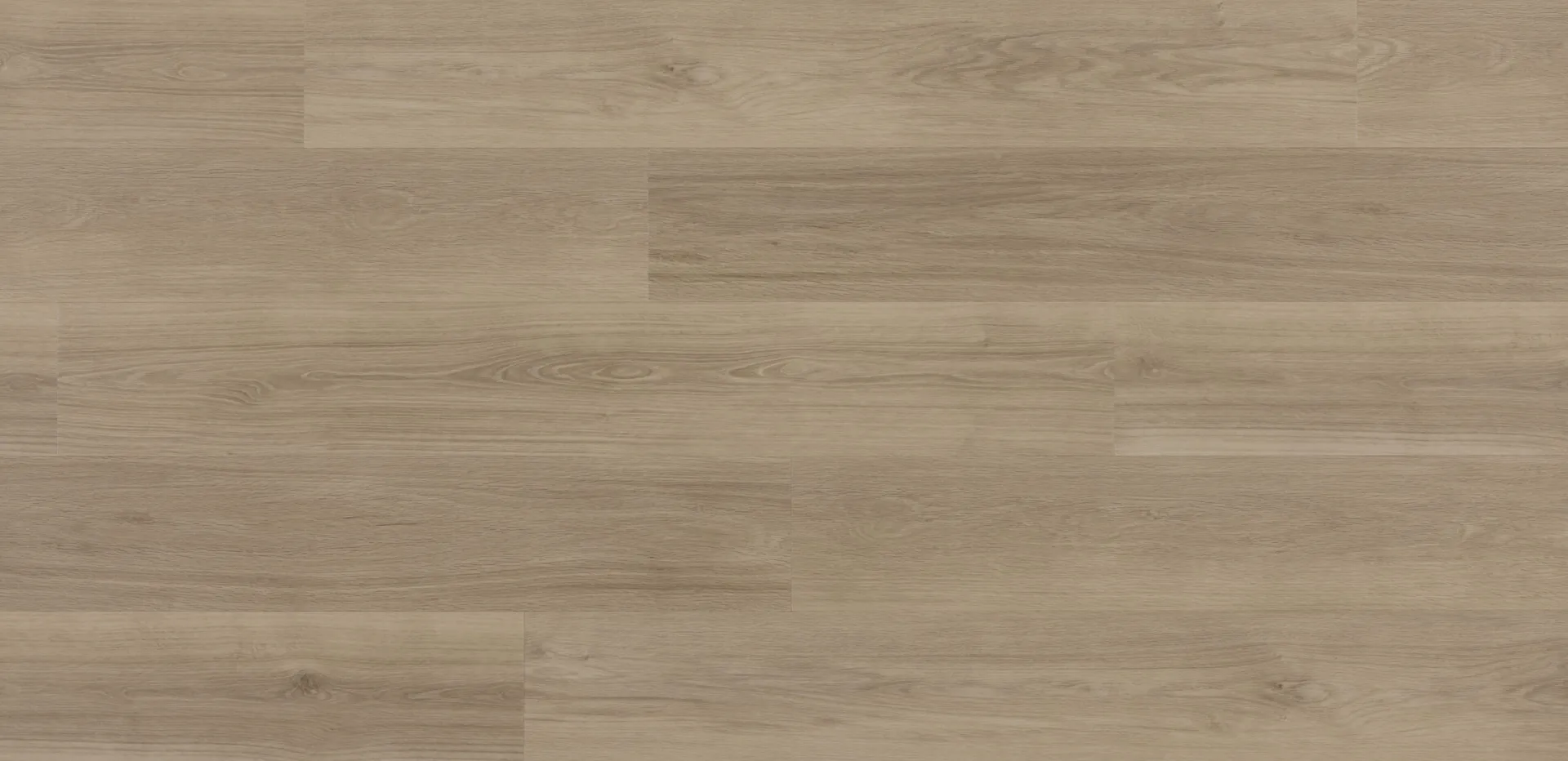 LVT ZENN30 CLICK - 2207 ORLANDO